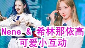 全民剧本大师内置菜单